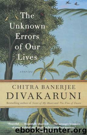 The Unknown Errors of Our Lives: Stories by Chitra Banerjee Divakaruni