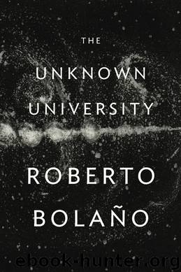The Unknown University by Roberto Bolaño