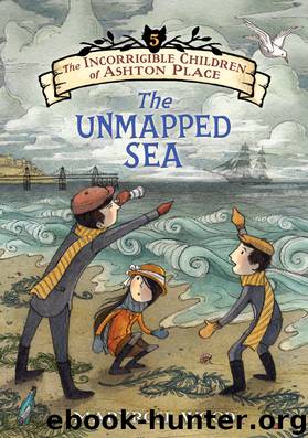 The Unmapped Sea by Maryrose Wood