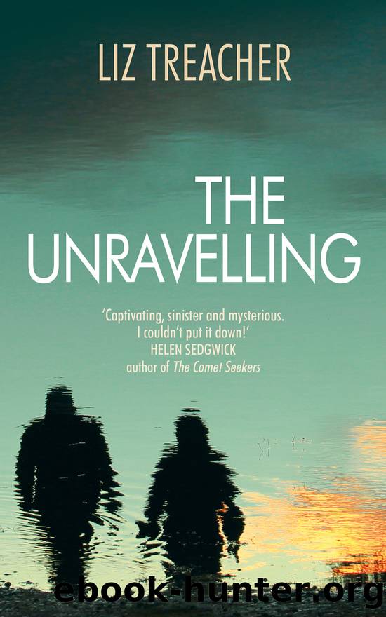 The Unravelling by Liz Treacher