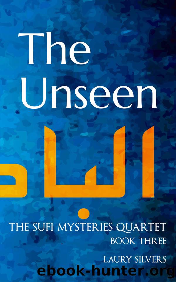 The Unseen by Laury Silvers