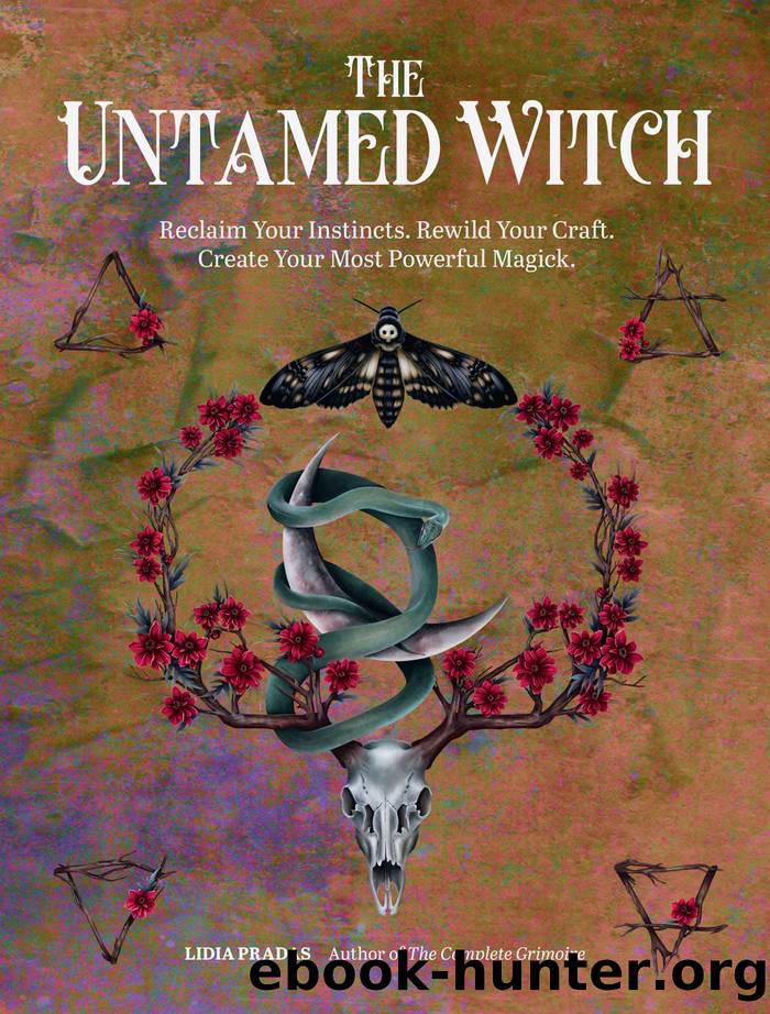 The Untamed Witch by Lidia Pradas