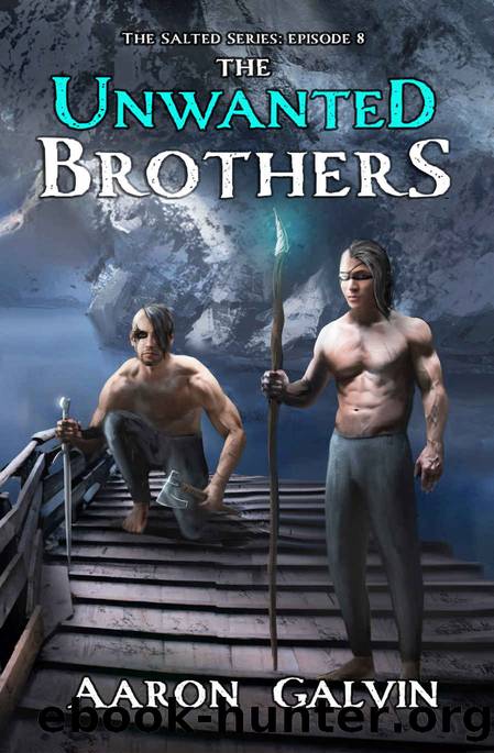 The Unwanted Brothers by Aaron Galvin