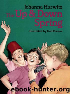 The Up & Down Spring by Johanna Hurwitz