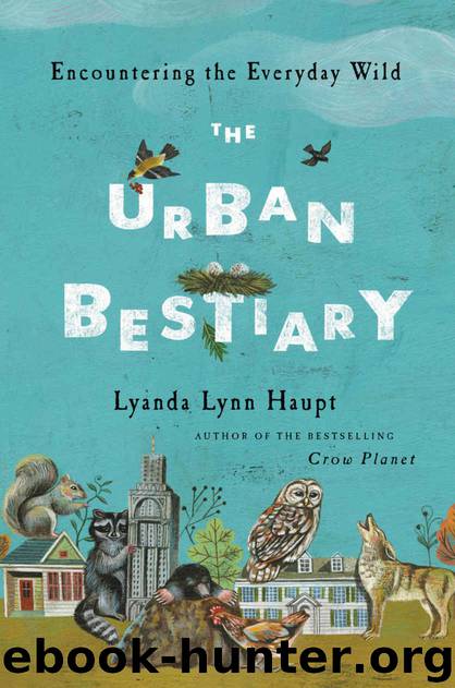The Urban Bestiary: Encountering the Everyday Wild by Lyanda Lynn Haupt