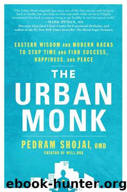 The Urban Monk: Eastern Wisdom and Modern Hacks to Stop Time and Find Success, Happiness, and Peace by Pedram Shojai