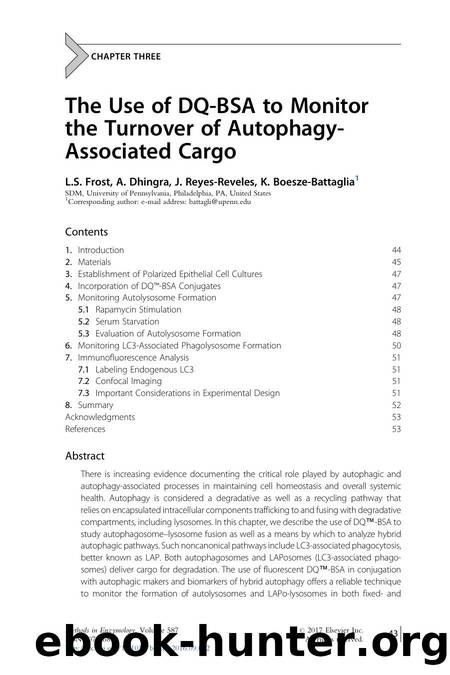 The Use of DQ-BSA to Monitor the Turnover of Autophagy-Associated Cargo by L.S. Frost & A. Dhingra & J. Reyes-Reveles & K. Boesze-Battaglia
