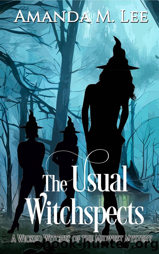 The Usual Witchspects (Wicked Witches of the Midwest Book 25) by Amanda M. Lee