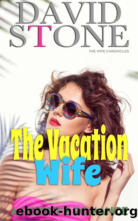 The Vacation Wife by David Stone