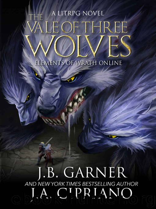 The Vale of Three Wolves: A LitRPG Adventure (Elements of Wrath Online Book 2) by J.A. Cipriano & J.B. Garner