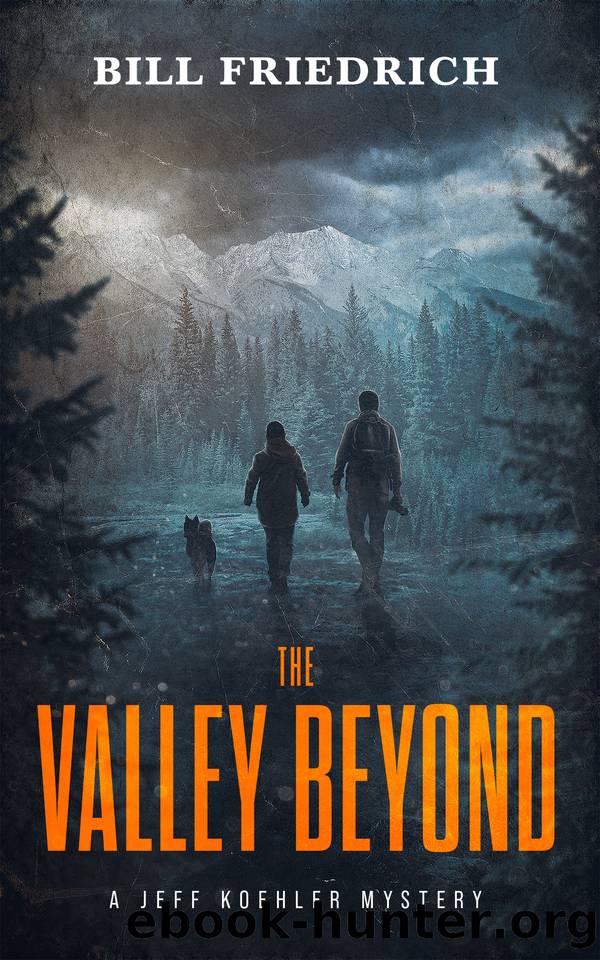 The Valley Beyond: A Jeff Koehler Mystery (The Jeff Koehler Mystery Series Book 3) by Bill Friedrich