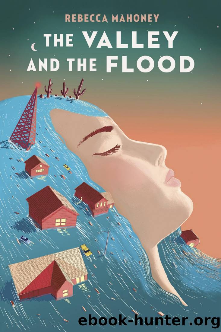 The Valley and the Flood by Rebecca Mahoney