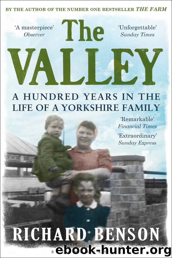 The Valley by Richard Benson