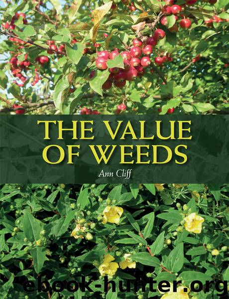 The Value of Weeds by Ann Cliff