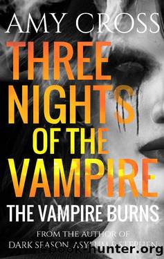 The Vampire Burns (Three Nights of the Vampire Book 2) by Amy Cross