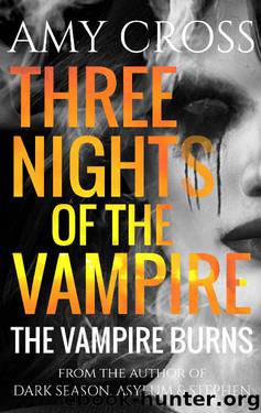 The Vampire Burns by Amy Cross