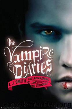 The Vampire Diaries #2: The Struggle by L. J. Smith