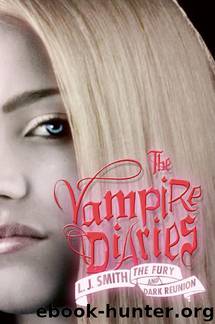 The Vampire Diaries #3: The Fury by L. J. Smith
