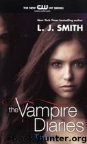 The Vampire Diaries: The Fury (3) by L. J. Smith