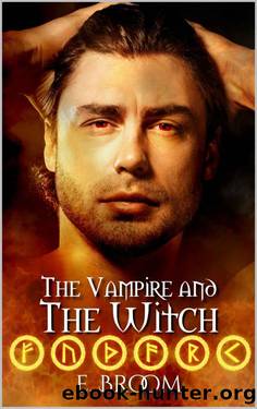 The Vampire and the Witch (The Vampire and Series Book 3) by E. Broom