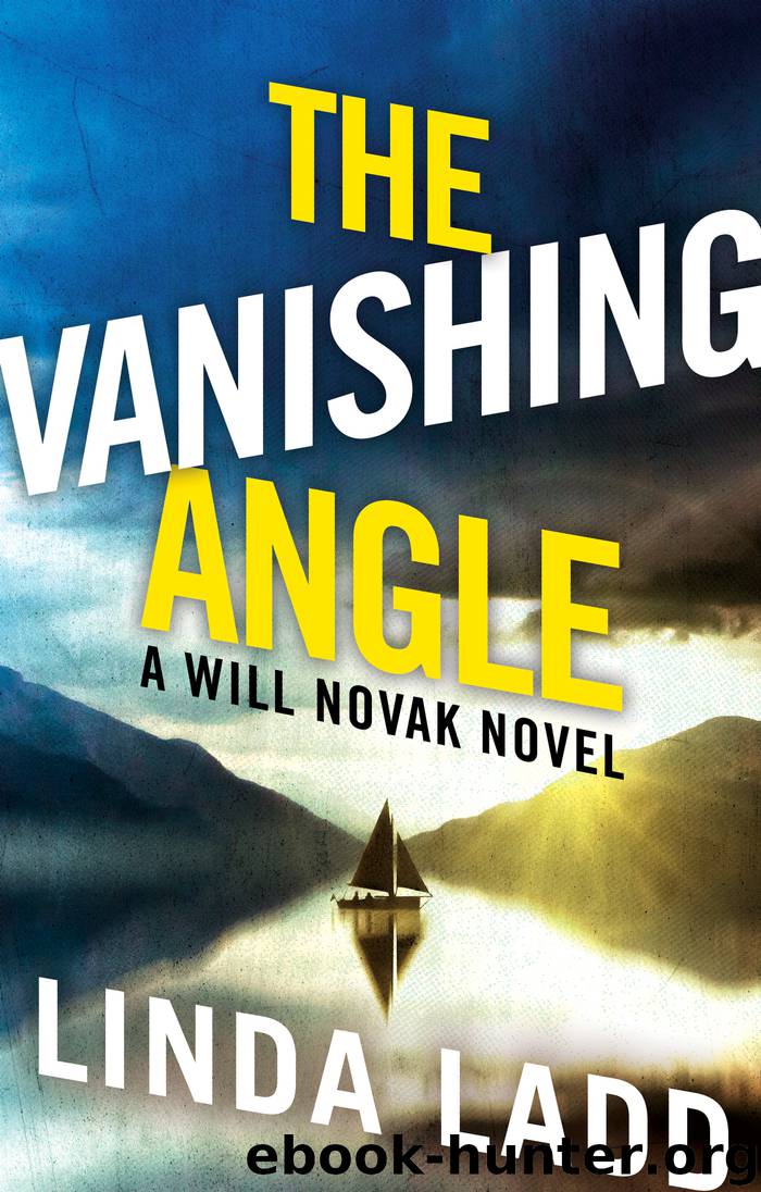 The Vanishing Angle by Linda Ladd
