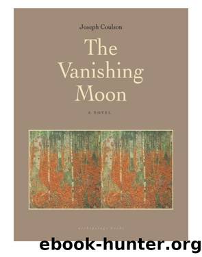 The Vanishing Moon by Joseph Coulson