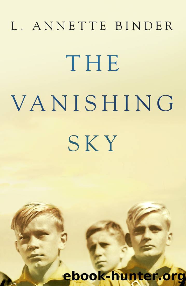 The Vanishing Sky by L. Annette Binder