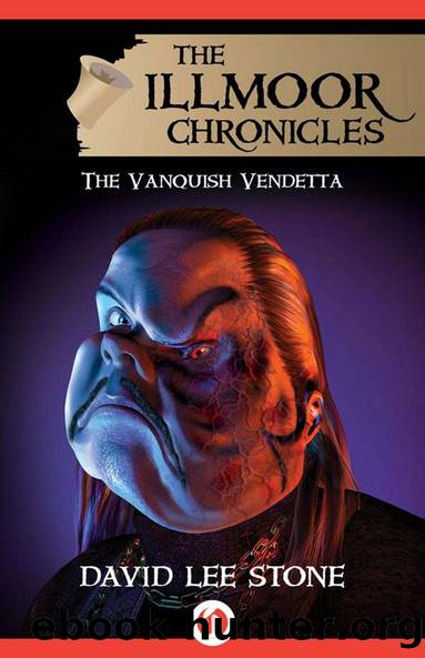 The Vanquish Vendetta (The Illmoor Chronicles Book 5) by David Lee Stone