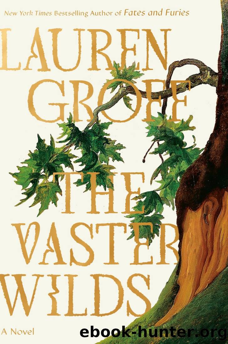 The Vaster Wilds: A Novel by Lauren Groff