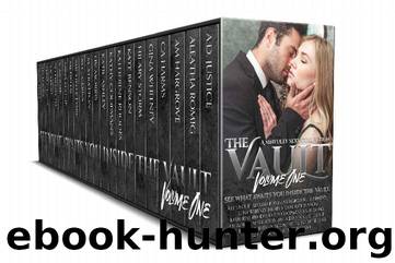 The Vault: A Sinfully Sexy Collection by unknow