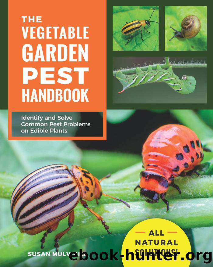 The Vegetable Garden Pest Handbook by Susan Mulvihill