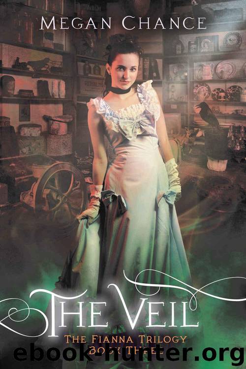 The Veil (Fianna Trilogy Book 3) by Chance Megan