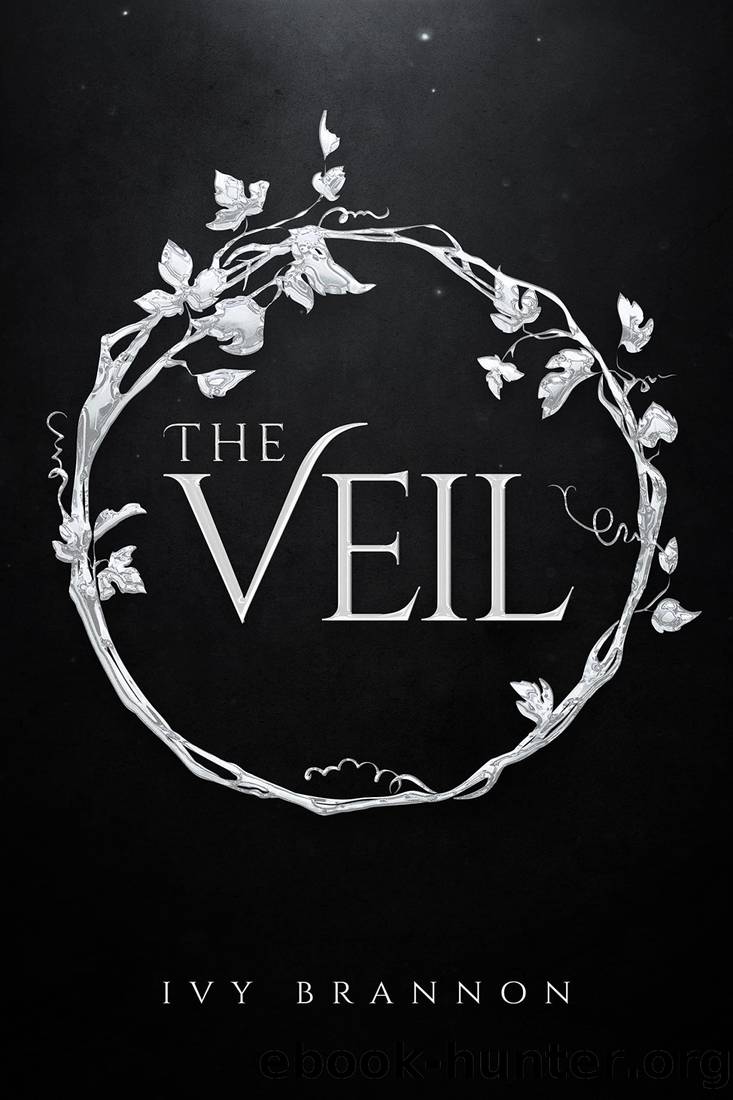 The Veil (The Veil Series Book 1) by Ivy Brannon