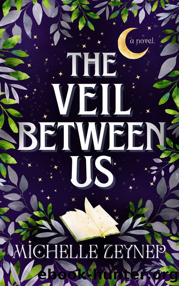 The Veil Between Us by Michelle Zeynep