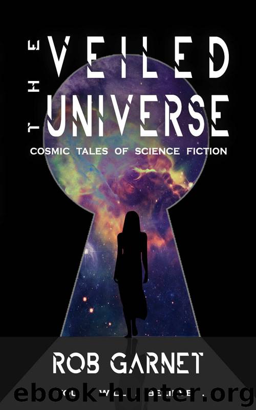 The Veiled Universe by Rob Garnet