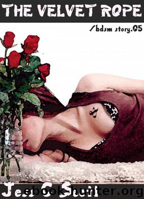 The Velvet Rope (bdsm story.05) by Jess C Scott