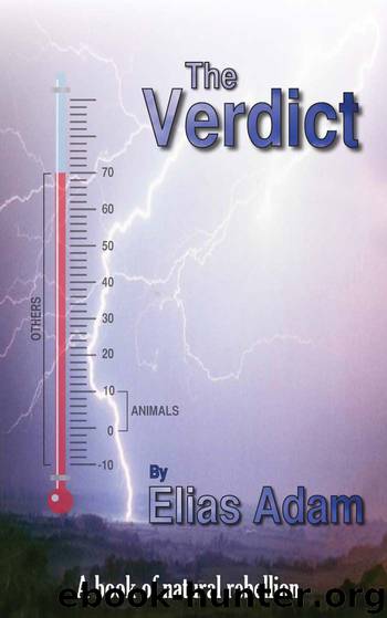 The Verdict by Elias Adam