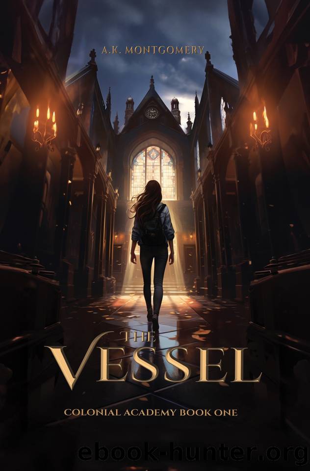 The Vessel: Colonial Academy Book One (The Colonial Academy Series 1) by Montgomery A.K