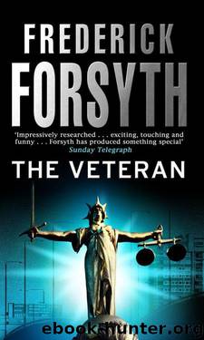 The Veteran by Forsyth Frederick