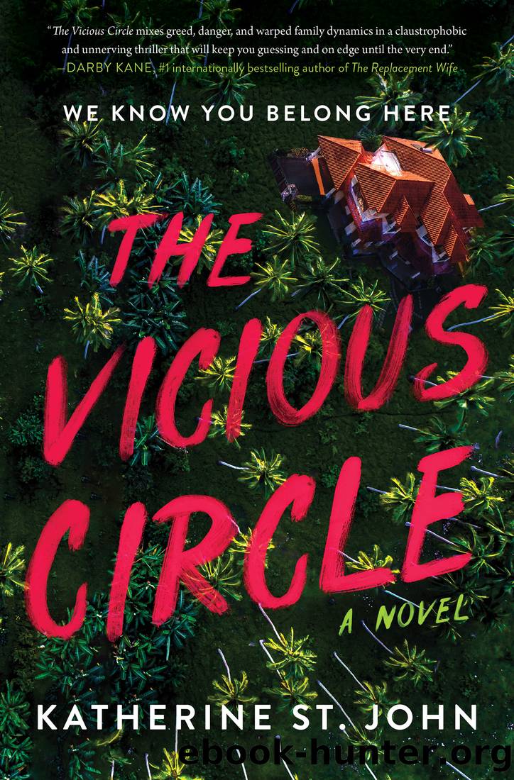 The Vicious Circle: a Novel by Katherine St. John