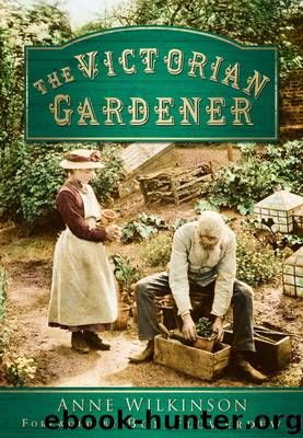 The Victorian Gardener by Anne Wilkinson
