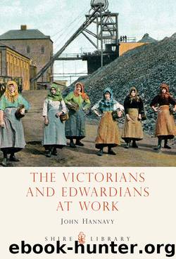 The Victorians and Edwardians at Work by John Hannavy