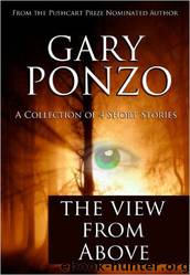 The View From Above by Gary Ponzo