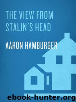 The View from Stalin's Head by Aaron Hamburger