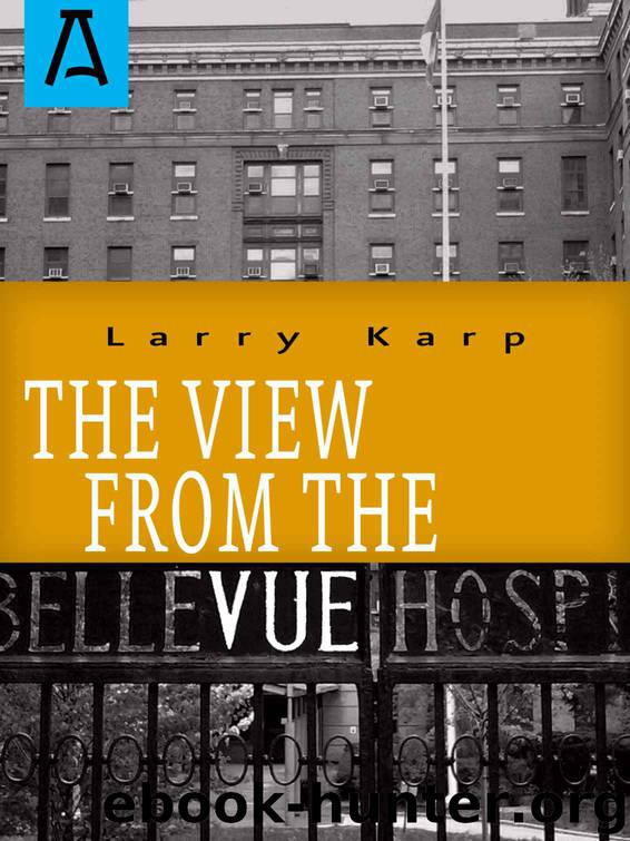 The View from the Vue by Karp Larry