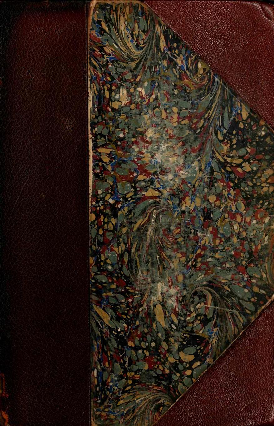 The Viking Age~The Early History Manners, and Customs of the Ancestors of the English-Speaking Nations, v. 2 by Unknown