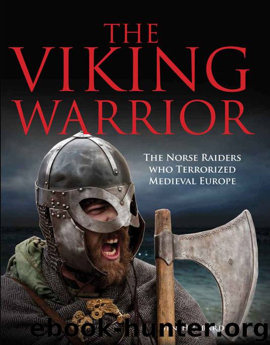 The Viking Warrior: The Norse Raiders who terrorised Medieval Europe by Ben Hubbard