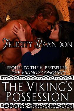 The Viking's Possession by Felicity Brandon