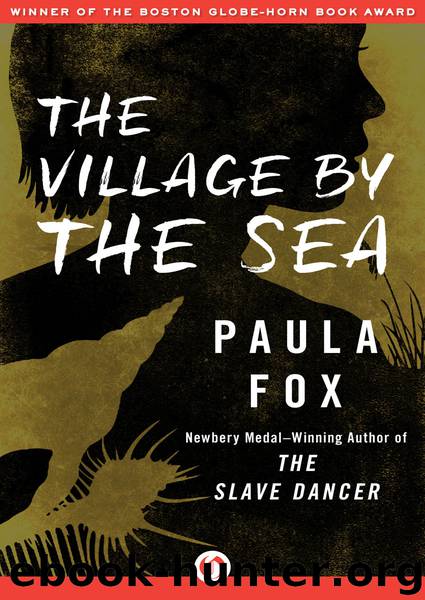 The Village by the Sea by Paula Fox