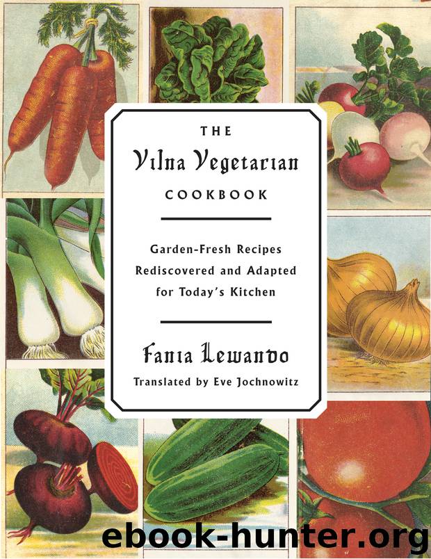 The Vilna Vegetarian Cookbook by Fania Lewando